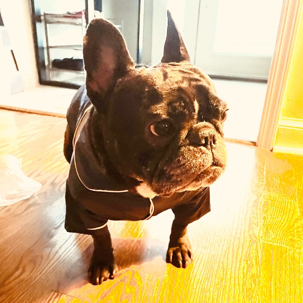 Meet your Posher, Tara